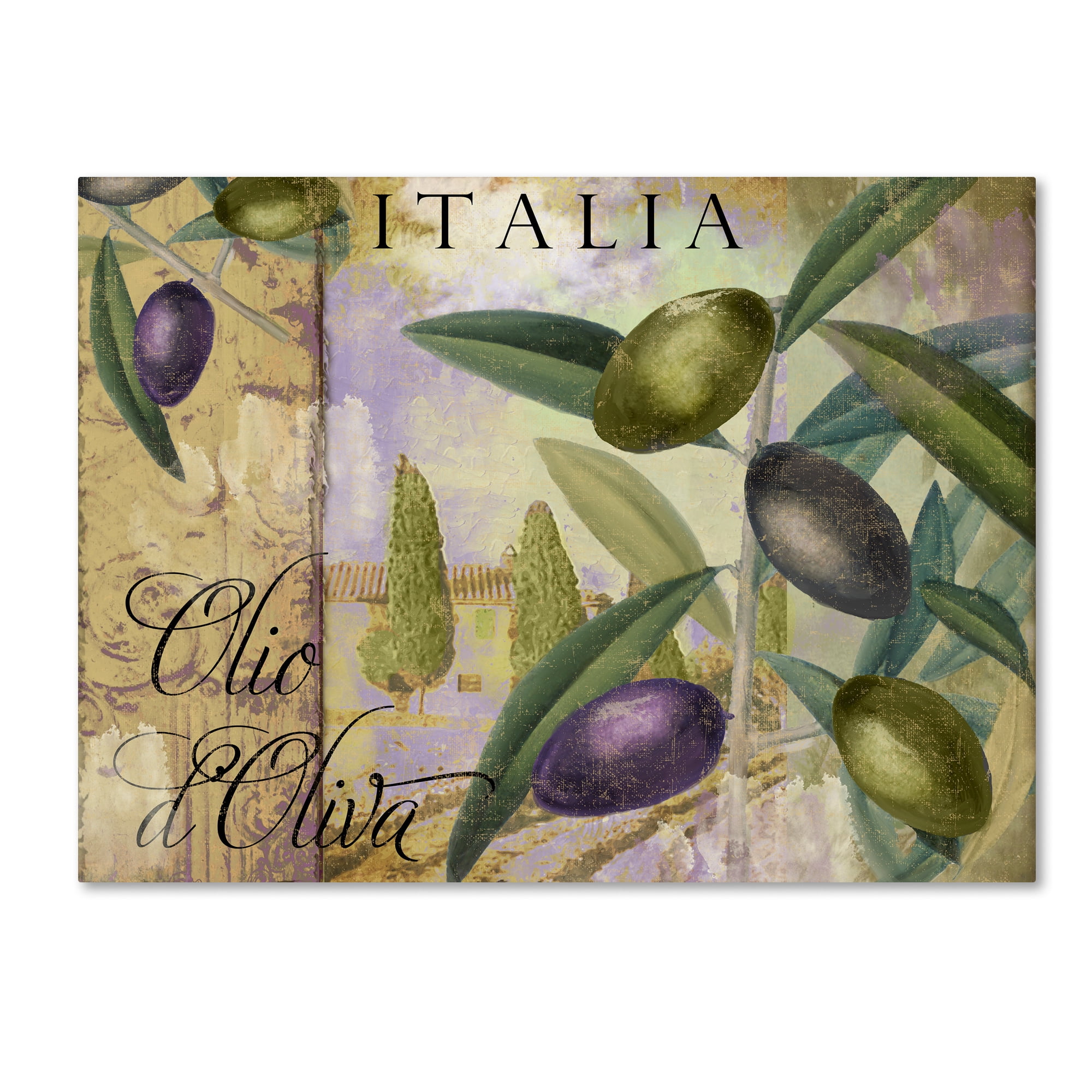 Trademark Fine Art "Toscana I" Canvas Art by Color Bakery