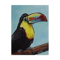 thumbnail image 1 of Trademark Fine Art 'Toucan On Tree Branch' Canvas Art by Hippie Hound Studios, 1 of 4