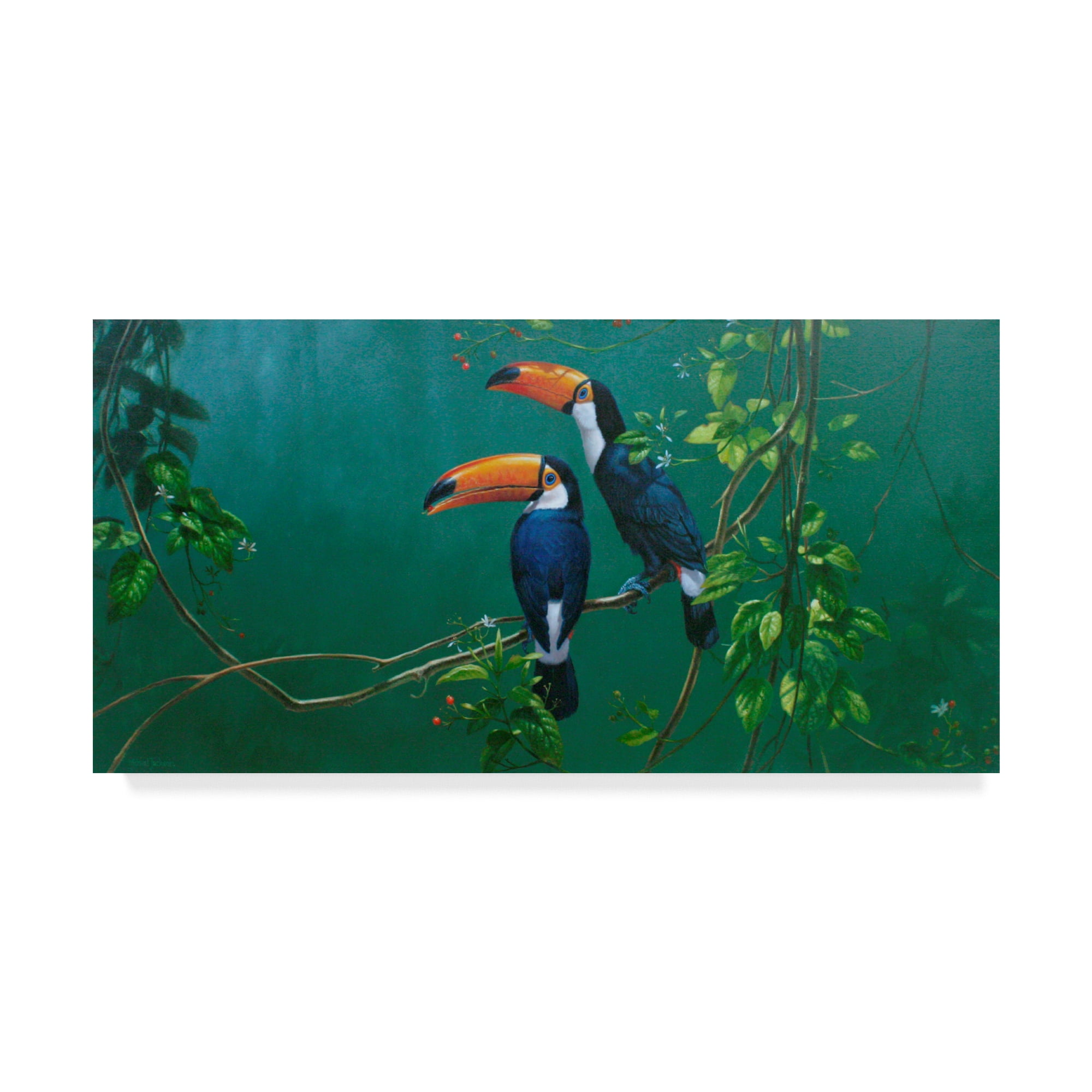 Trademark Fine Art 'Toucans Over Jungle' Canvas Art by Michael Jackson