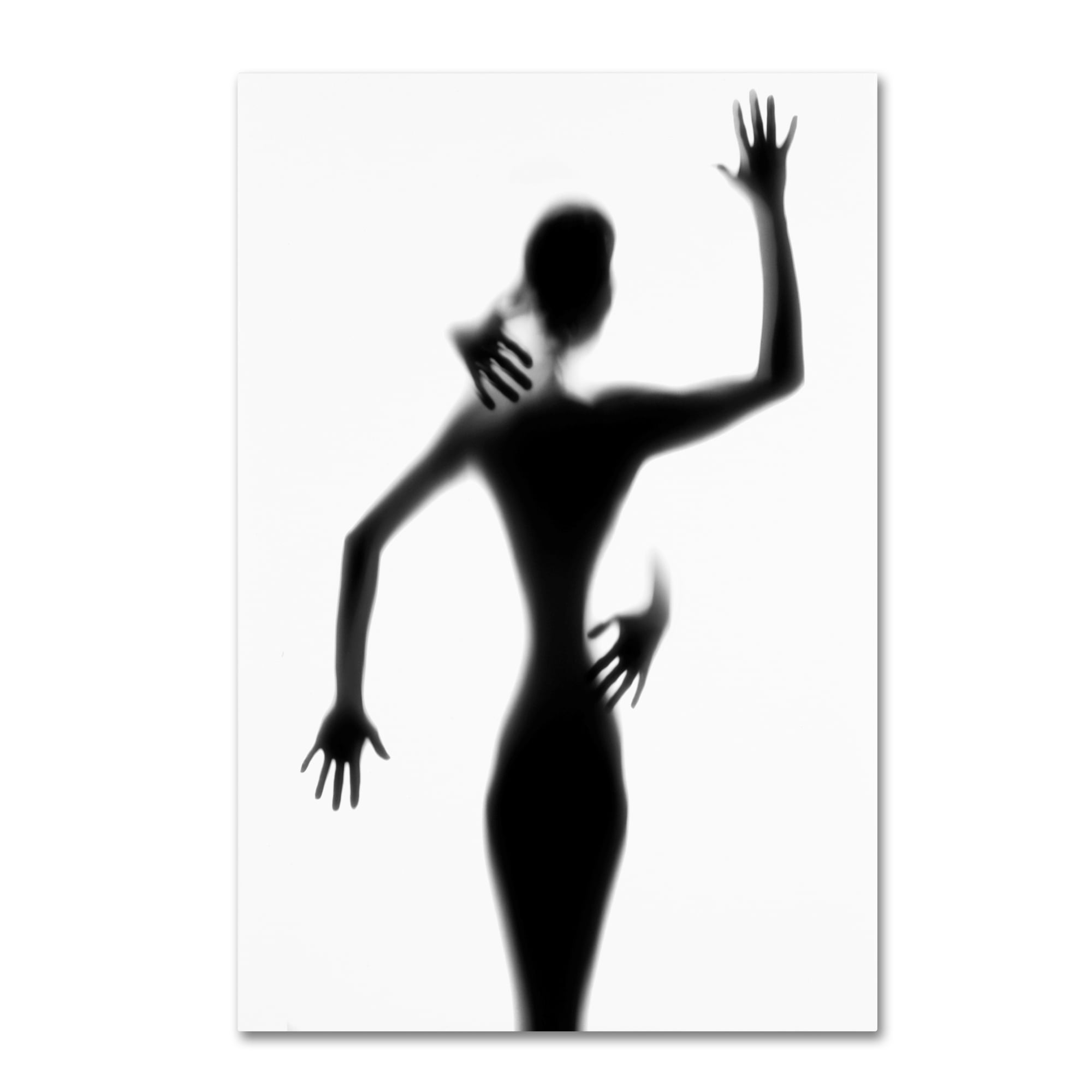 Trademark Fine Art 'Touch' Canvas Art by Vaja Vaclav