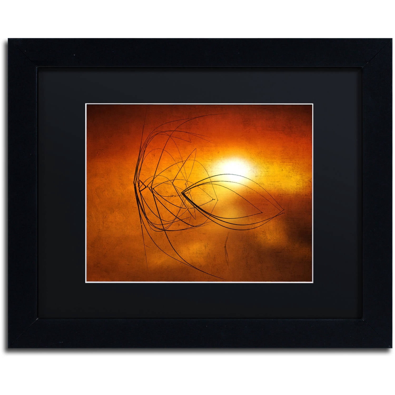 Trademark Fine Art "Touch of Last Light" Canvas Art by Philippe Sainte-Laudy Black Matte, Black Frame