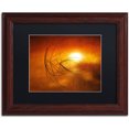 thumbnail image 1 of Trademark Fine Art "Touch of Last Light" Canvas Art by Philippe Sainte-Laudy Black Matte, Wood Frame, 1 of 5