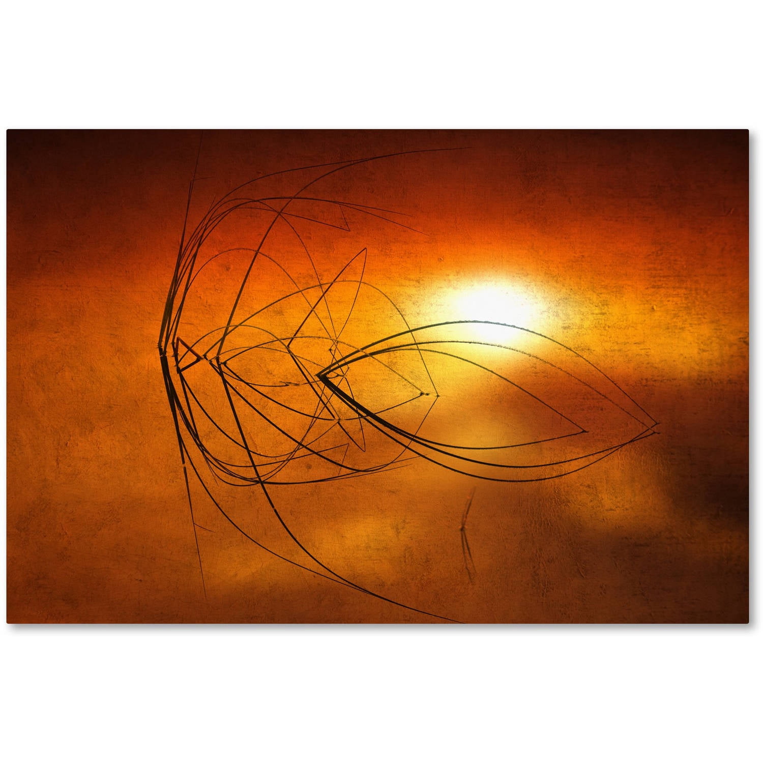 Trademark Fine Art "Touch of Last Light" Canvas Art by Philippe Sainte-Laudy
