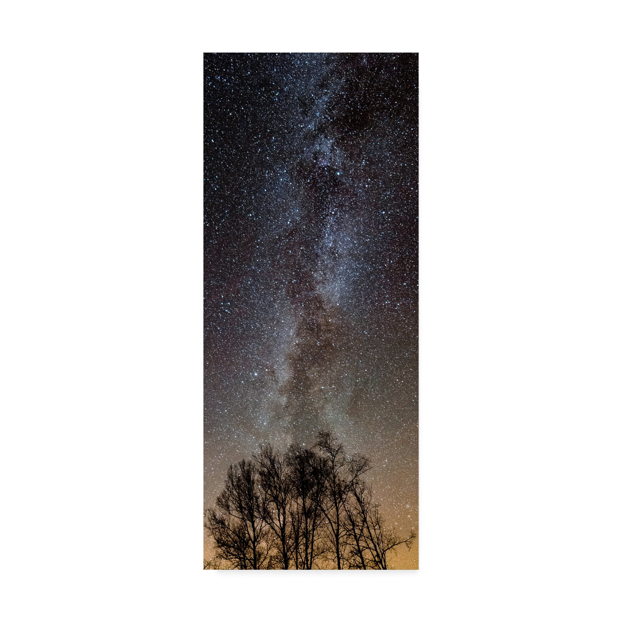 Trademark Fine Art 'Touching The Stars' Canvas Art by Brenda Petrella Photography Llc