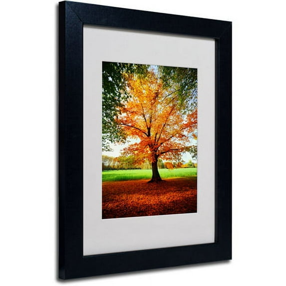 Trademark Fine Art "Tout Feu" Canvas Art by Philippe Sainte-Laudy, Black Frame