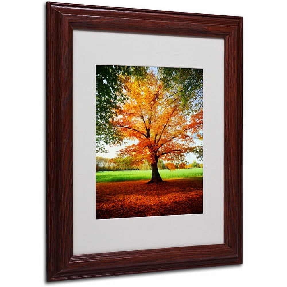 Trademark Fine Art "Tout Feu" Canvas Art by Philippe Sainte-Laudy, Wood Frame