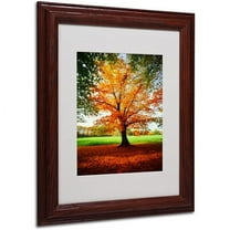 Trademark Fine Art "Tout Feu" Canvas Art by Philippe Sainte-Laudy, Wood Frame