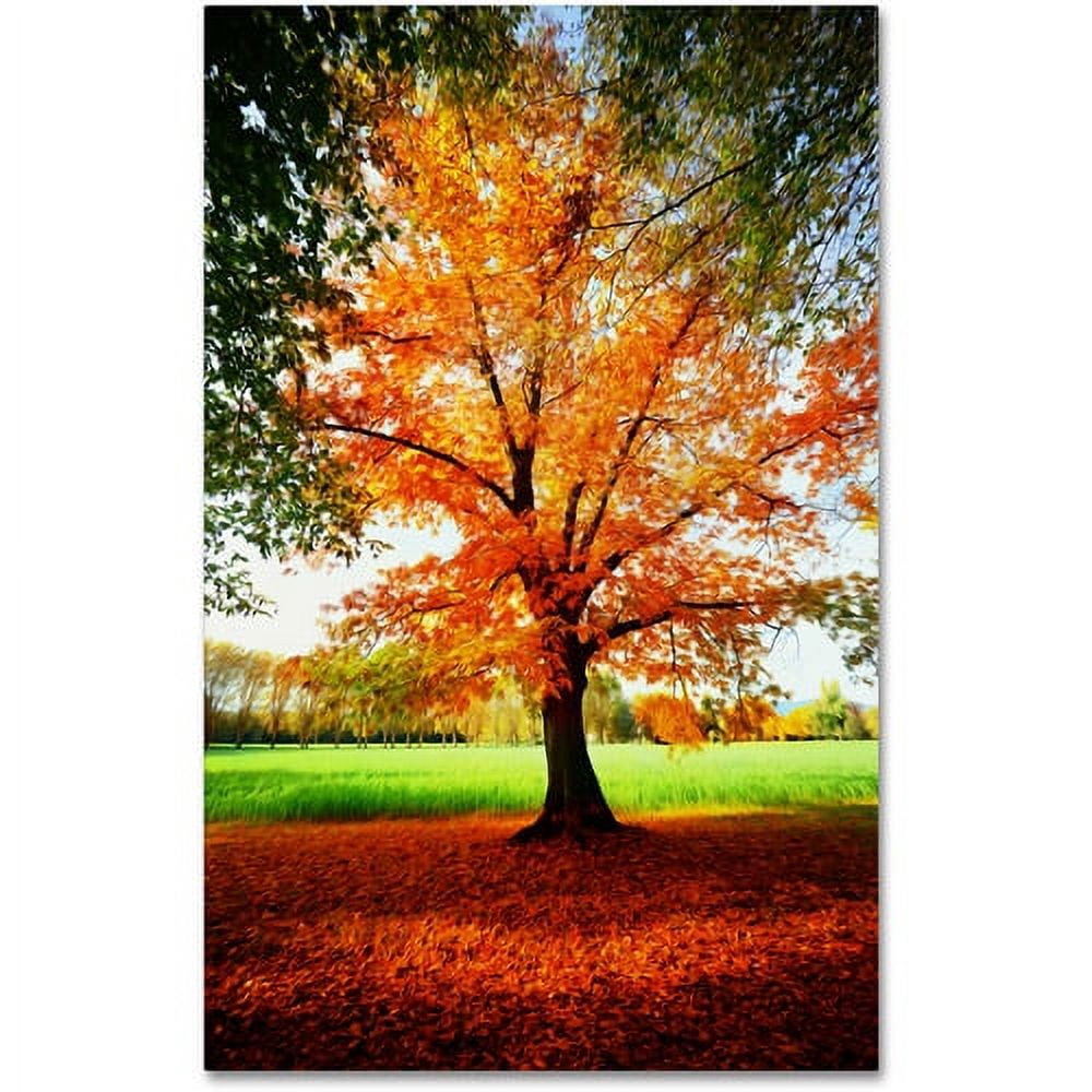 Trademark Fine Art "Tout Feu Tout Flamme" Canvas Art by Philippe Sainte-Laudy