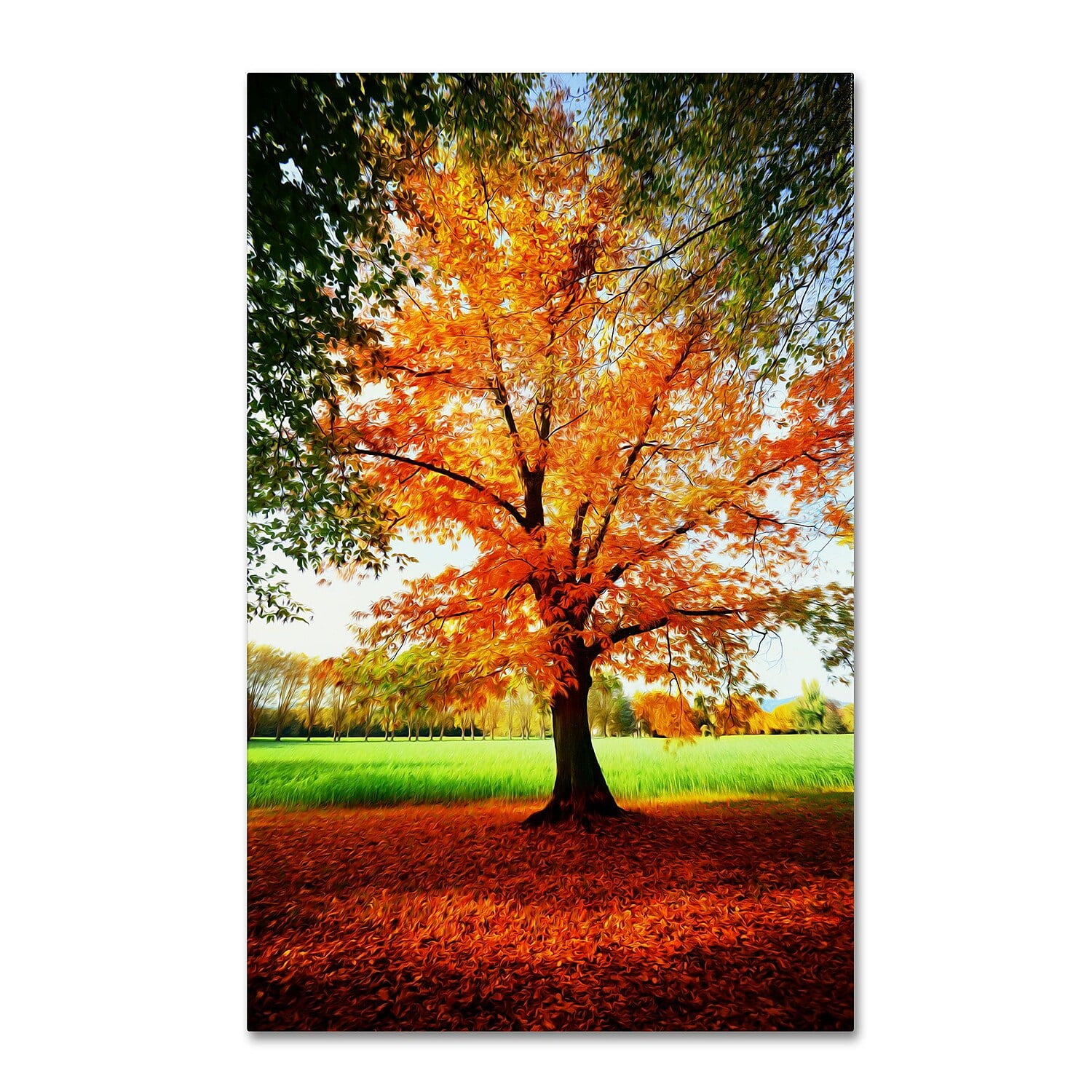 Trademark Fine Art "Tout Feu Tout Flamme" Canvas Art by Philippe Sainte-Laudy
