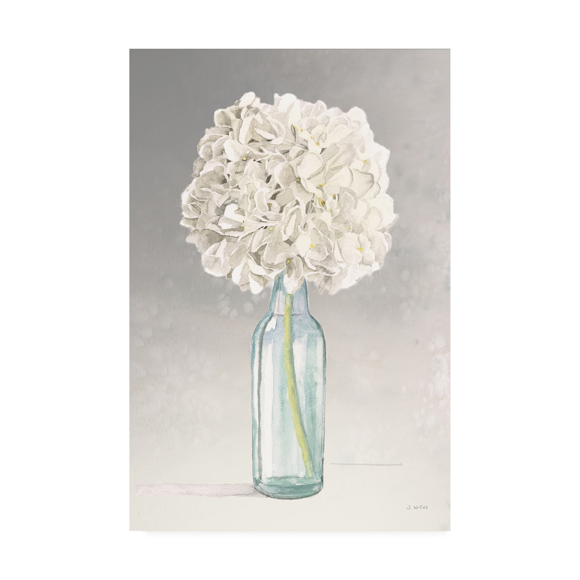 Trademark Fine Art 'Tranquil Blossoms II' Canvas Art by James Wiens
