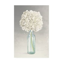 Trademark Fine Art 'Tranquil Blossoms II' Canvas Art by James Wiens