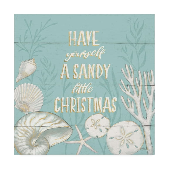 Trademark Fine Art 'Tranquil Morning III Christmas' Canvas Art by Janelle Penner