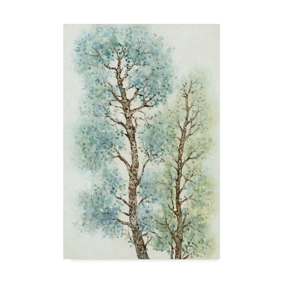 Trademark Fine Art 'Tranquil Tree Tops I' Canvas Art by Tim OToole