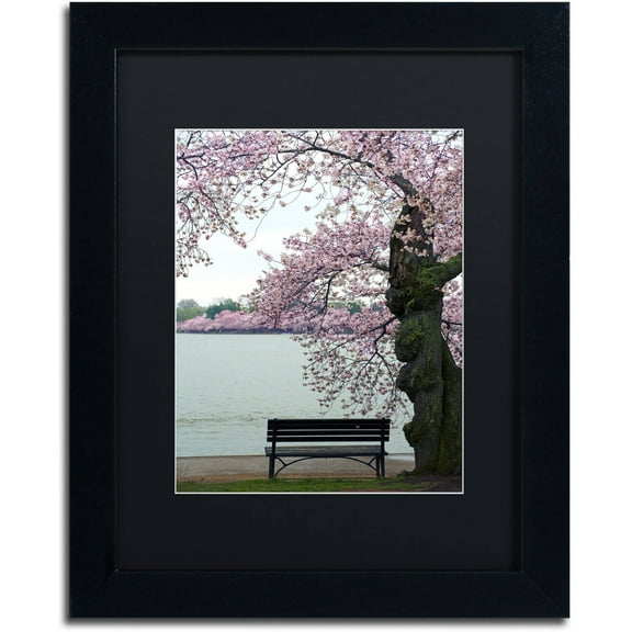Trademark Fine Art "Tranquility" Canvas Art by CATeyes, Black Matte, Black Frame