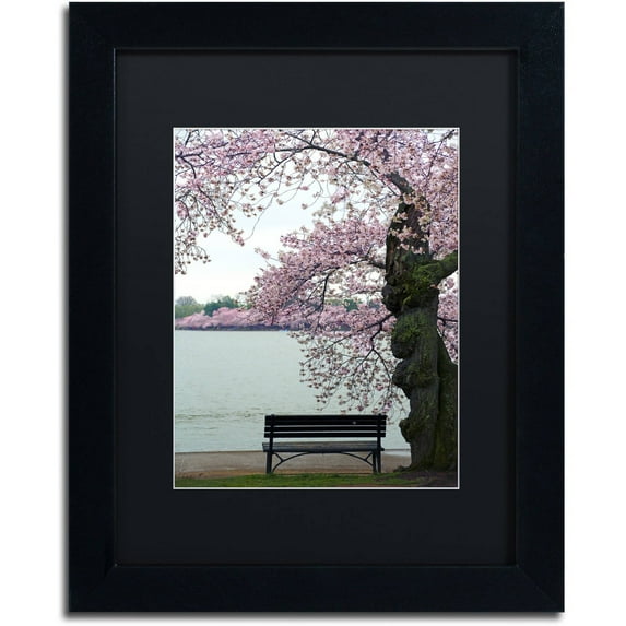 Trademark Fine Art "Tranquility" Canvas Art by CATeyes, Black Matte, Black Frame