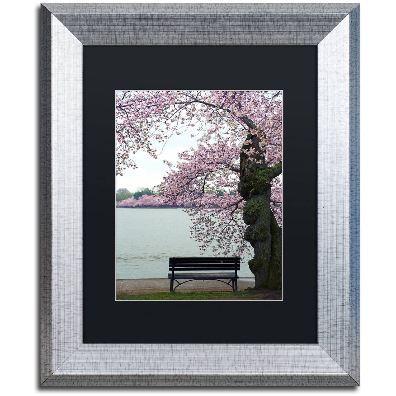 Trademark Fine Art "Tranquility" Canvas Art by CATeyes, Black Matte, Silver Frame