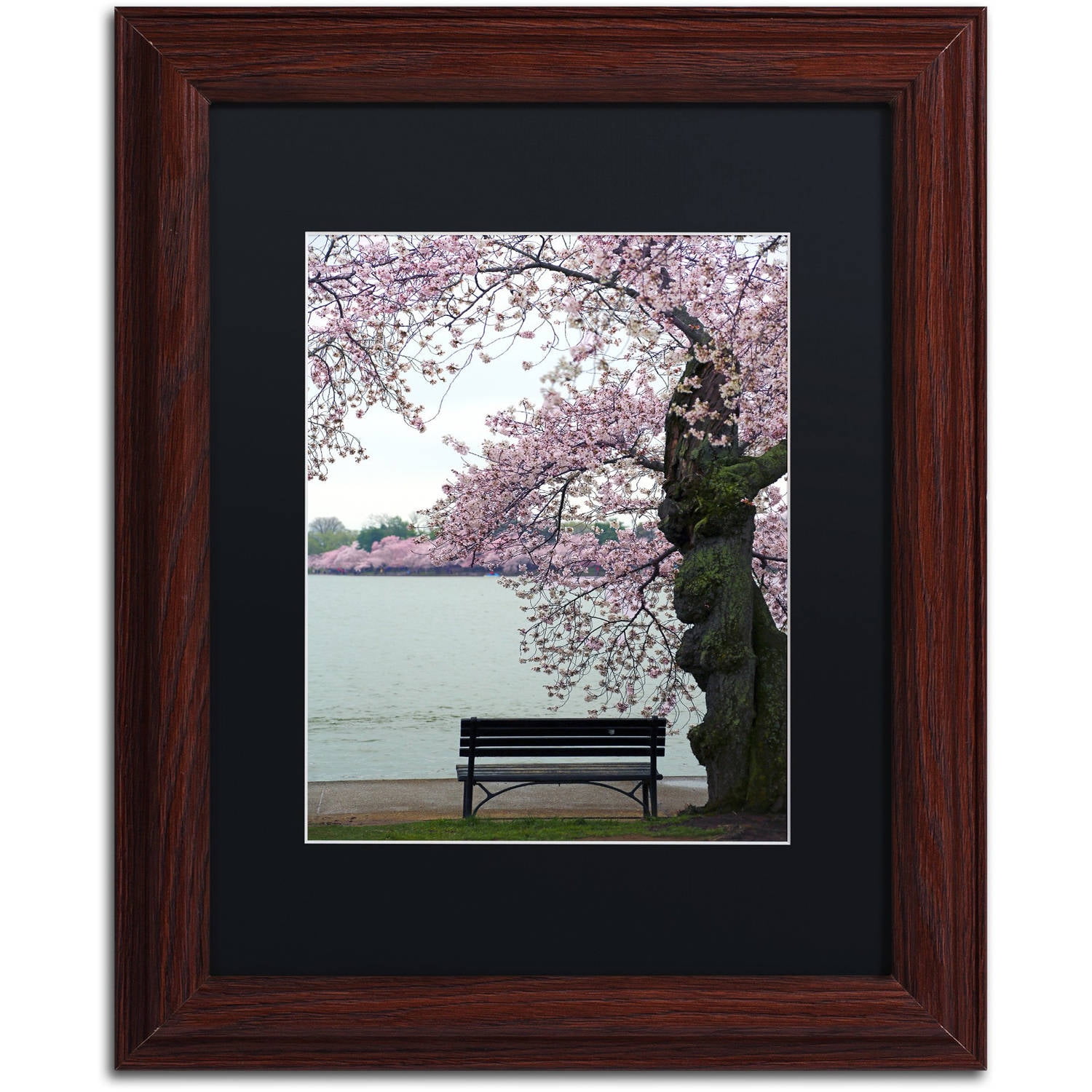 Trademark Fine Art "Tranquility" Canvas Art by CATeyes, Black Matte, Wood Frame