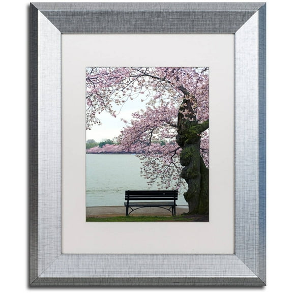 Trademark Fine Art "Tranquility" Canvas Art by CATeyes, White Matte, Silver Frame