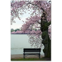Trademark Fine Art "Tranquility" Canvas Art by CATeyes