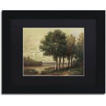 Trademark Fine Art "Tranquility" Canvas Art by Daniel Moises, Black Matte, Black Frame