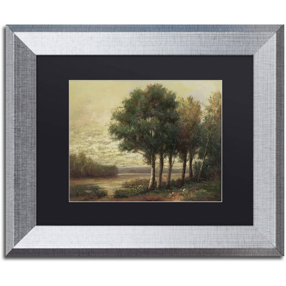 Trademark Fine Art "Tranquility" Canvas Art by Daniel Moises, Black Matte, Silver Frame