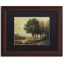 Trademark Fine Art "Tranquility" Canvas Art by Daniel Moises, Black Matte, Wood Frame
