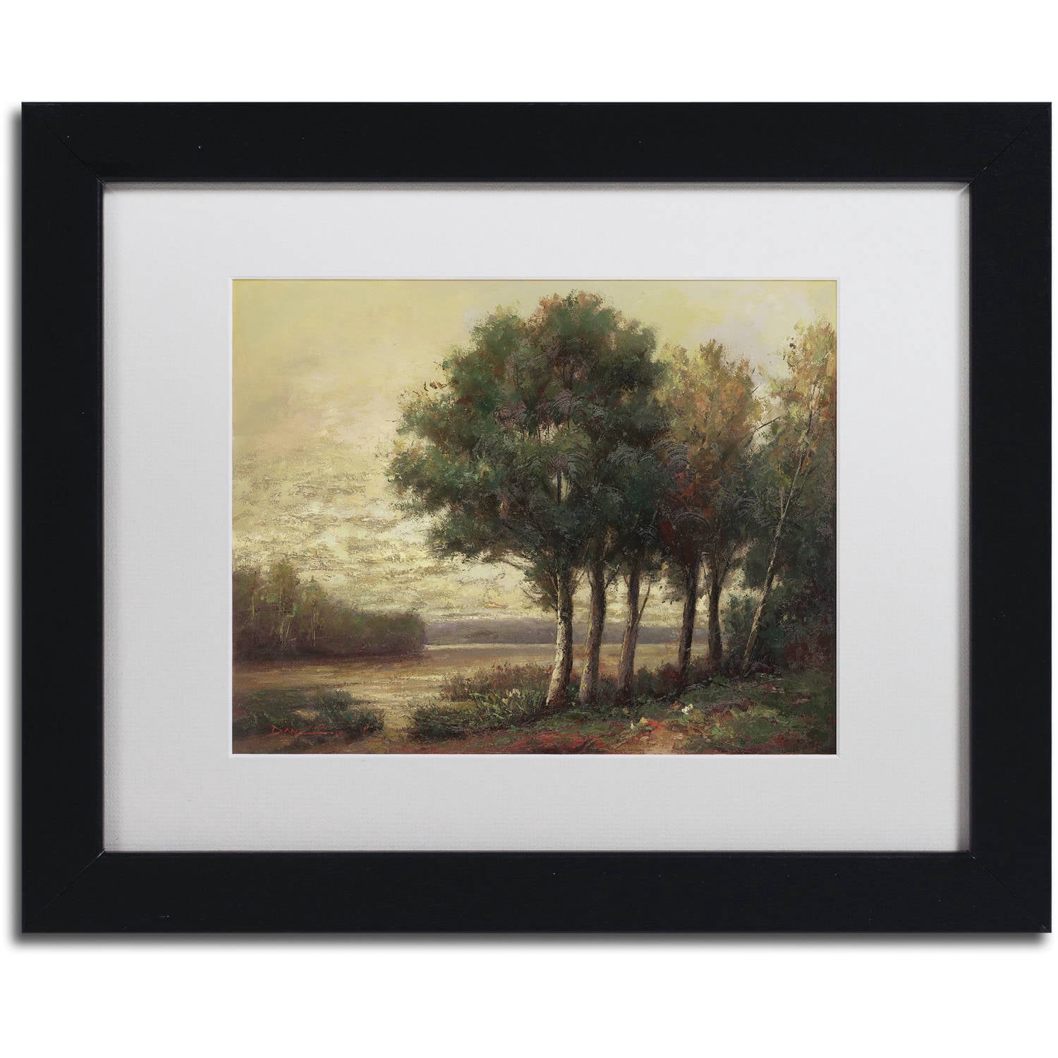 Trademark Fine Art "Tranquility" Canvas Art by Daniel Moises, White Matte, Black Frame