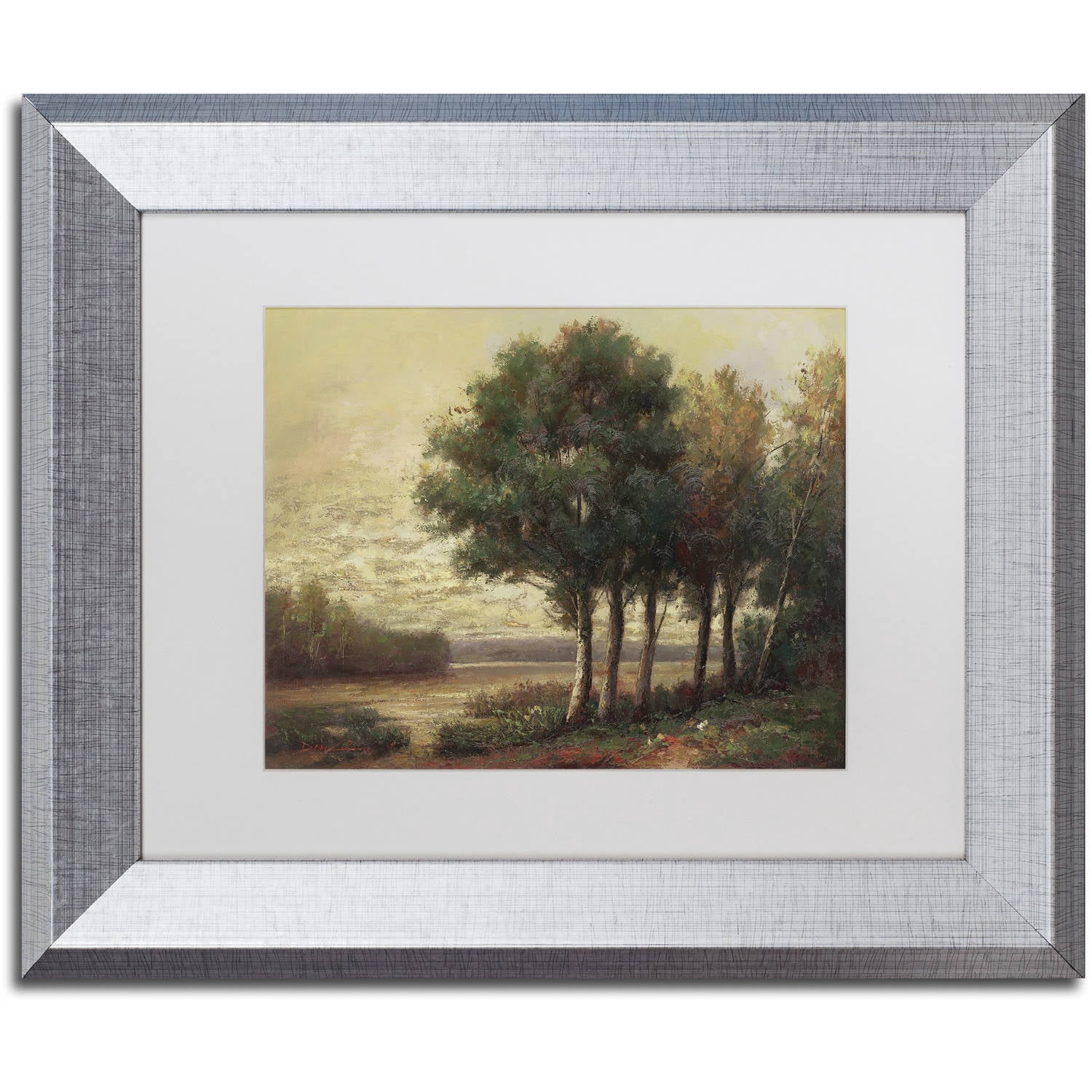 Trademark Fine Art "Tranquility" Canvas Art by Daniel Moises, White Matte, Silver Frame
