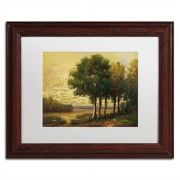 Trademark Fine Art "Tranquility" Canvas Art by Daniel Moises, White Matte, Wood Frame