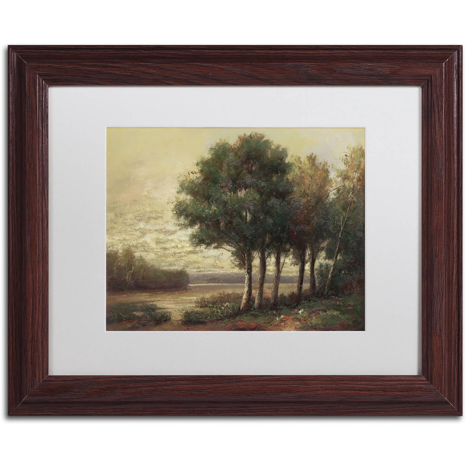Trademark Fine Art "Tranquility" Canvas Art by Daniel Moises, White Matte, Wood Frame