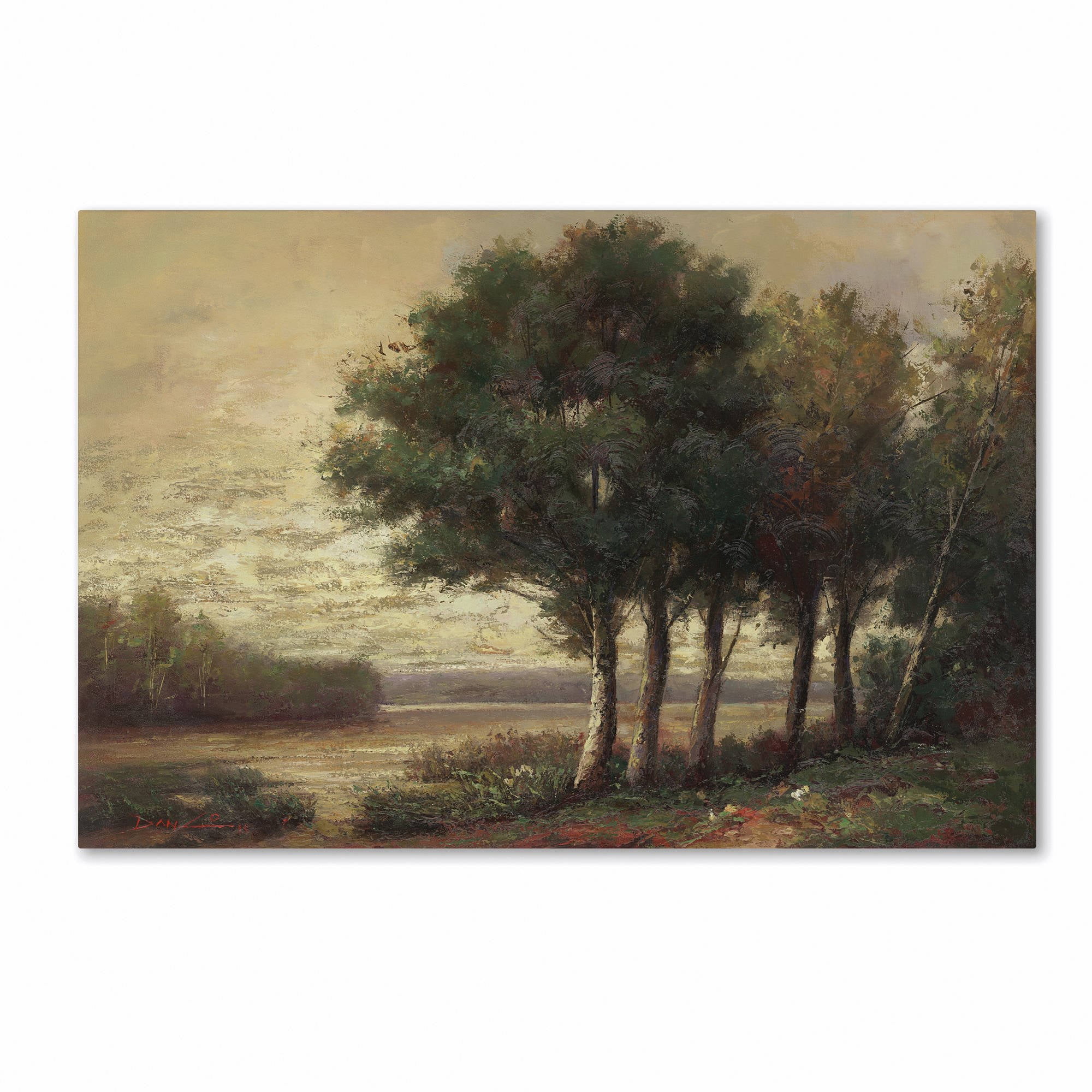 Trademark Fine Art "Tranquility" Canvas Art by Daniel Moises