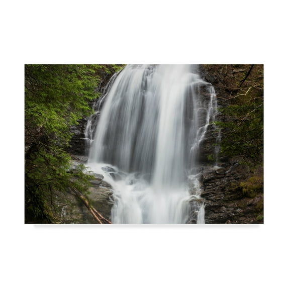 Trademark Fine Art 'Tranquility Waters' Canvas Art by Brenda Petrella Photography Llc