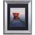 thumbnail image 1 of Trademark Fine Art 'Tranquilty' Canvas Art by Daniel Moises, Black Matte, Silver Frame, 1 of 1