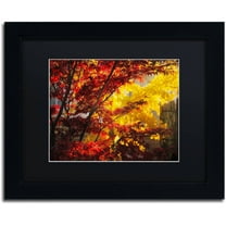 Trademark Fine Art "Transits" Canvas Art by Philippe Sainte-Laudy Black Matte, Black Frame