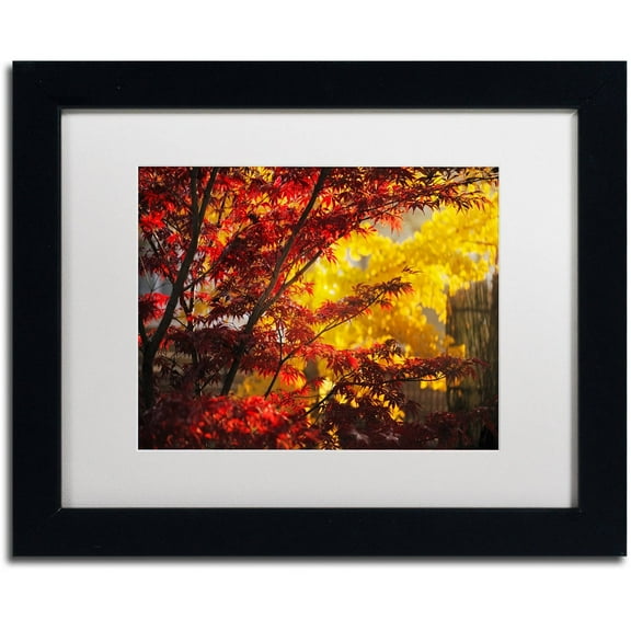 Trademark Fine Art "Transits" Canvas Art by Philippe Sainte-Laudy White Matte, Black Frame