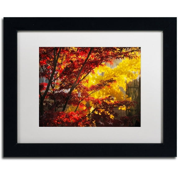 Trademark Fine Art "Transits" Canvas Art by Philippe Sainte-Laudy White Matte, Black Frame