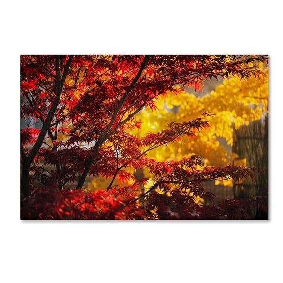 Trademark Fine Art "Transits" Canvas Art by Philippe Sainte-Laudy