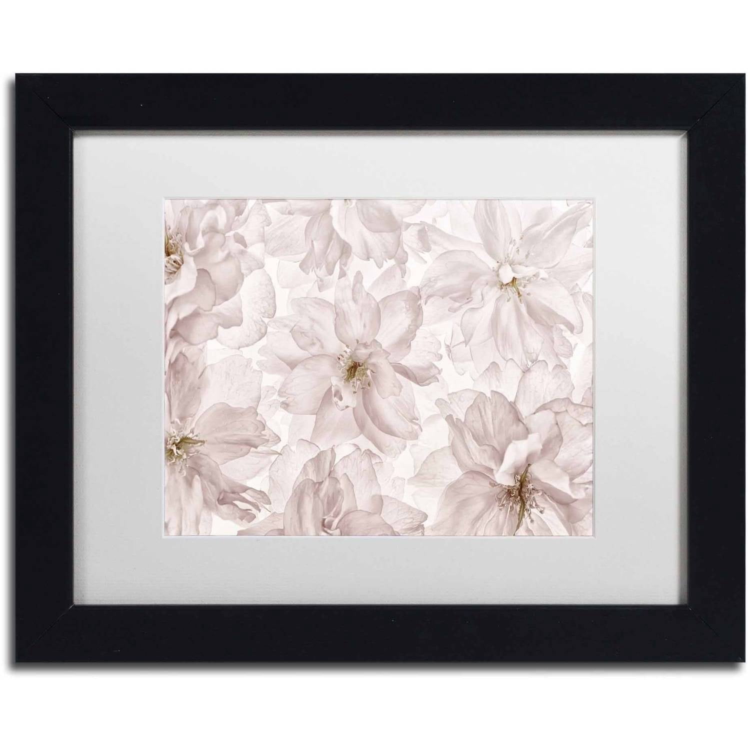Trademark Fine Art 'Translucent Cherry Blossom' Canvas Art by Cora Niele, White Matte, Black Frame