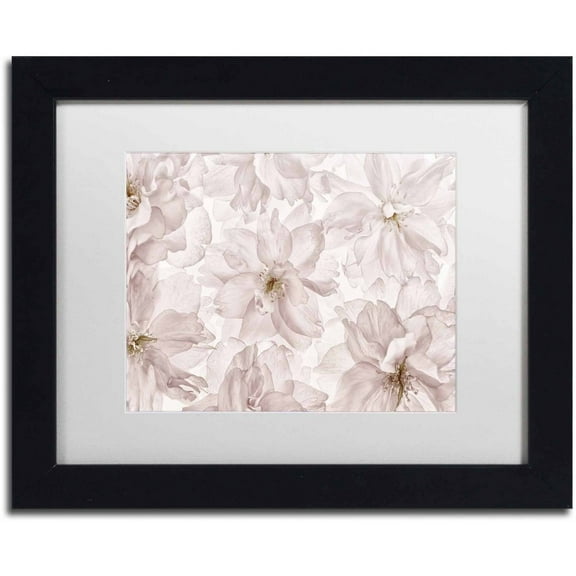 Trademark Fine Art 'Translucent Cherry Blossom' Canvas Art by Cora Niele, White Matte, Black Frame