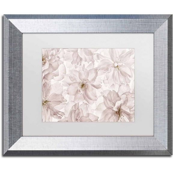 Trademark Fine Art 'Translucent Cherry Blossom' Canvas Art by Cora Niele, White Matte, Silver Frame