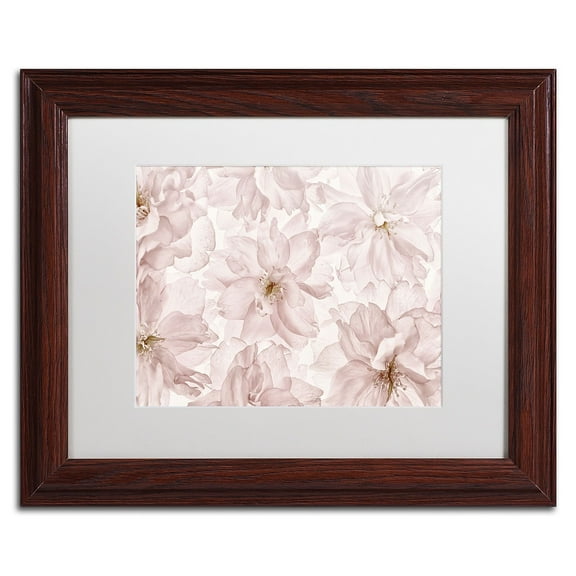 Trademark Fine Art 'Translucent Cherry Blossom' Canvas Art by Cora Niele, White Matte, Wood Frame