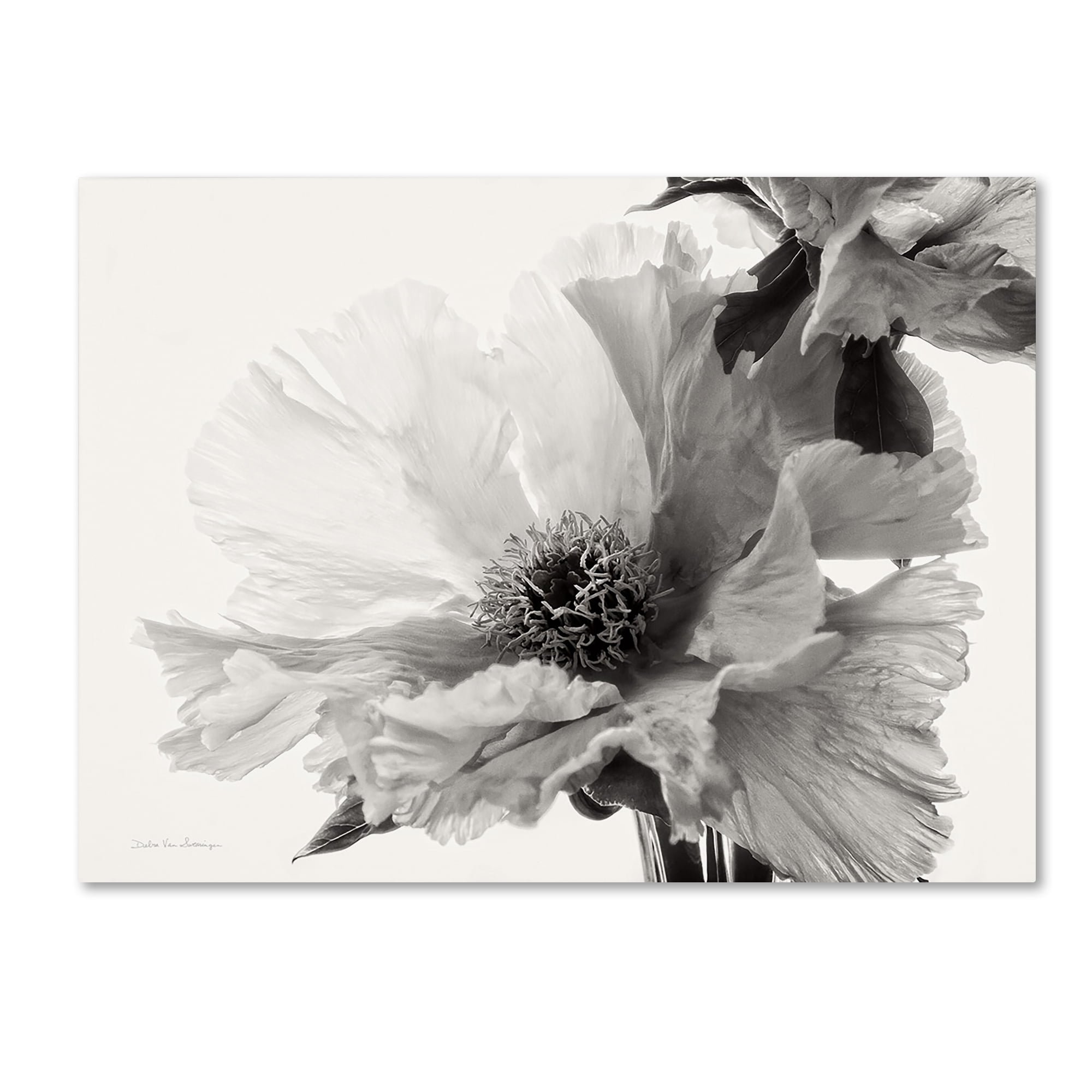 Black and White Floral Canvas Art with Frame, 14 x 19 Inches
