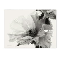 Trademark Fine Art 'Translucent Peony VBW' Canvas Art by Debra Van Swearingen