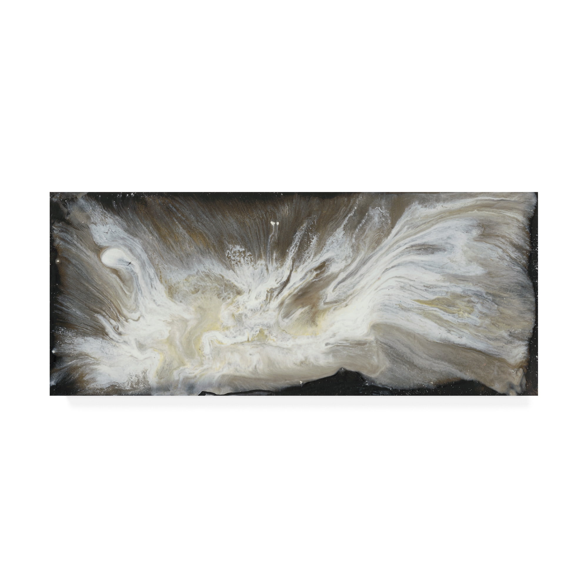 Trademark Fine Art 'Transmutation VI' Canvas Art by Lila Bramma