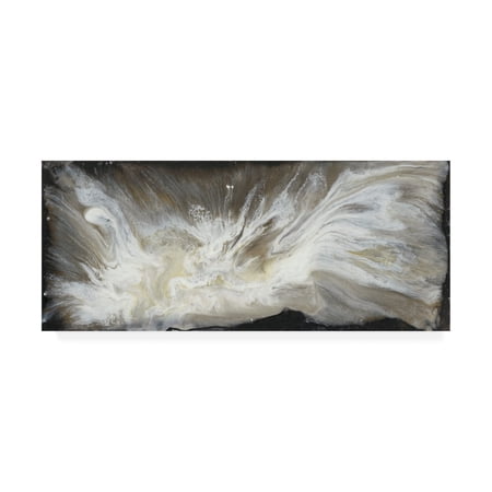 Trademark Fine Art 'Transmutation VI' Canvas Art by Lila Bramma
