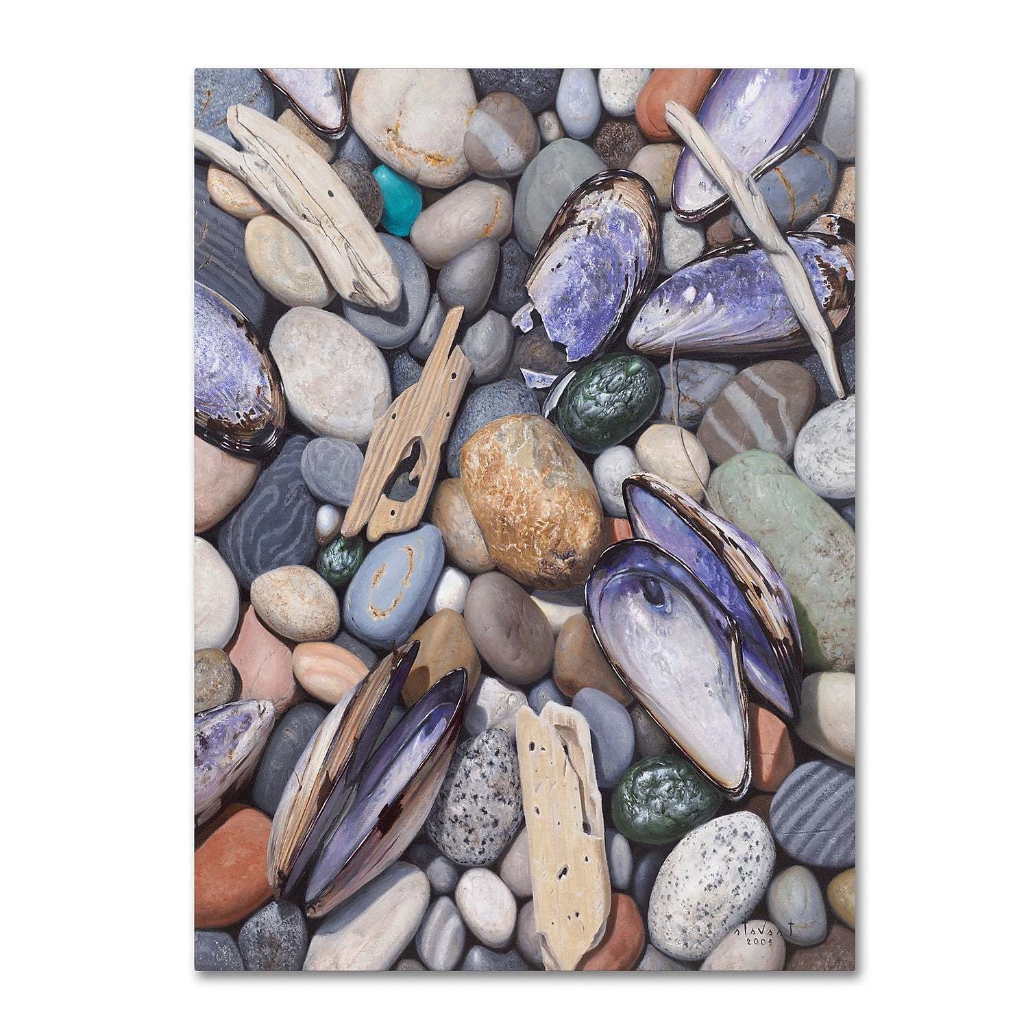 Trademark Fine Art "Treasure at Muscle Beach" Canvas Art by Stephen Stavast