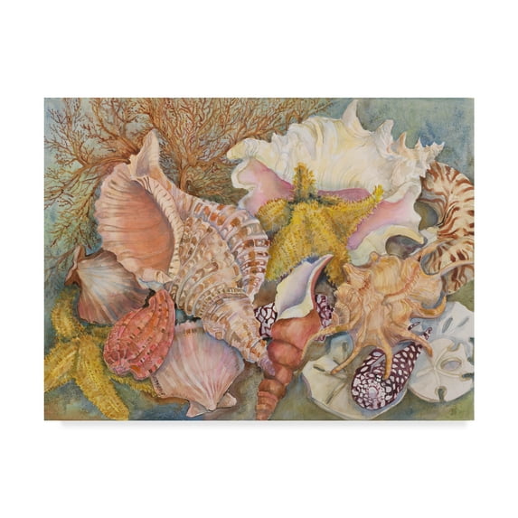 Trademark Fine Art 'Treasures Of The Sea' Canvas Art by Joanne Porter