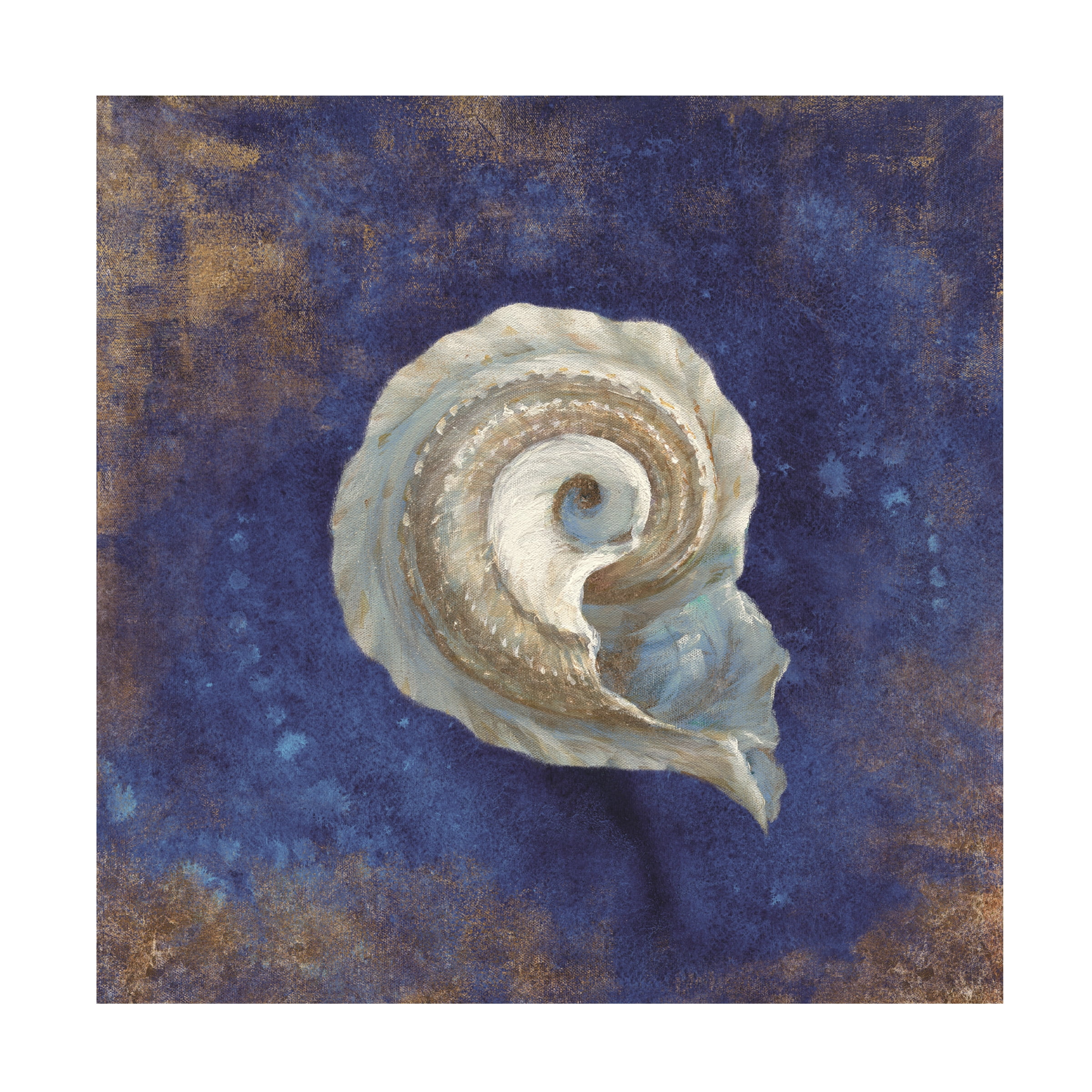 Trademark Fine Art 'Treasures from the Sea Indigo III' Canvas Art by Danhui Nai