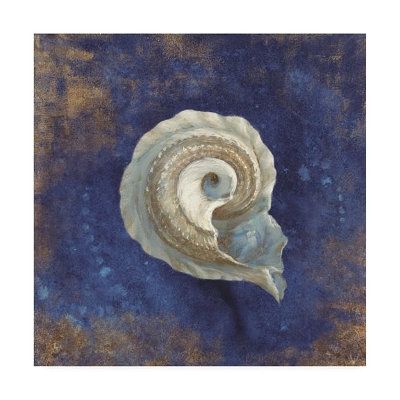 Trademark Fine Art 'Treasures from the Sea Indigo III' Canvas Art by Danhui Nai