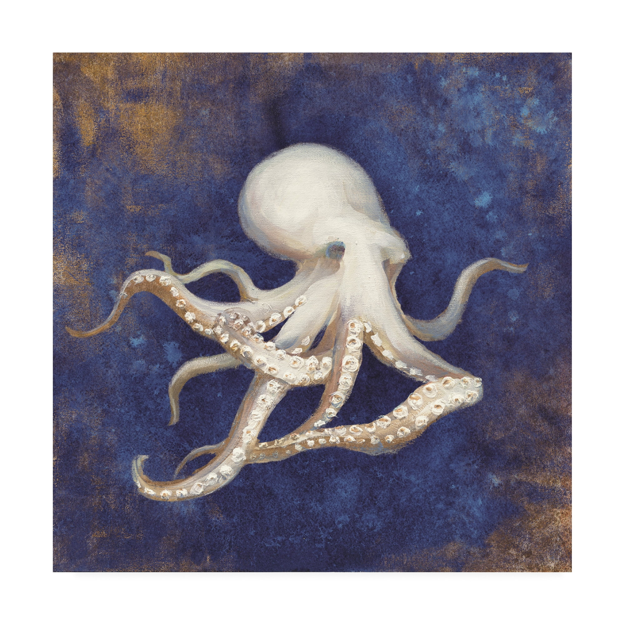 Trademark Fine Art 'Treasures from the Sea Indigo V' Canvas Art by Danhui Nai